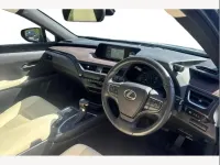 Used Lexus UX 250h 184 HP (135 kW) 2022 Green SUV