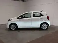 Used Kia Picanto 66 HP (48 kW) 2021 White Hatchback