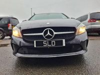 Używany Mercedes A200 2015 Purpurowy Hatchback