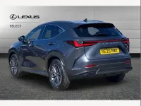 Used Lexus NX450h+ 288 HP (211 kW) 2026 Grey SUV