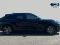 Used Ford Mustang Standard Range 269 HP (197 kW) 2022 Black Hatchback