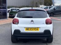 Used Citroën C3 PureTech 108 HP (79 kW) 2023 White Hatchback