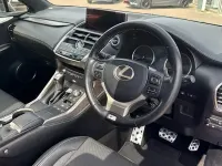 Used Lexus NX300h Sport Line 197 HP (144 kW) 2019 Blue SUV