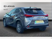 Used Lexus UX 300e 150 kW (204 HP) 2025 Grey SUV