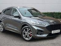 Used Ford Kuga ST-Line 150 HP (110 kW) 2023 SUV