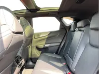 Used Lexus NX350h Sport Line 239 HP (175 kW) 2022 Black SUV