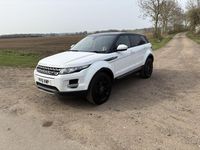Used Land Rover Range Rover evoque Pure 150 HP (110 kW) 2015 White SUV