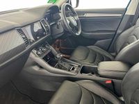 Used Skoda Kodiaq SE L Executive 150 HP (110 kW) 2024 Blue SUV