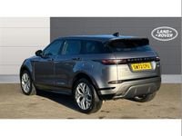 Used Land Rover Range Rover evoque SE Dynamic 309 HP (227 kW) 2022 Grey SUV