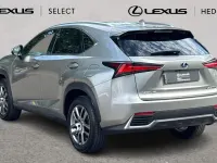 Used Lexus NX300h 197 HP (144 kW) 2020 Sonic titanium SUV
