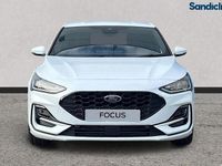 Used Ford Focus ST-Line X 125 HP (91 kW) 2024 White Hatchback