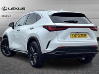 Used Lexus NX350h 245 HP (180 kW) 2023 White SUV