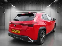 Used Lexus UX Sport Design Packet 184 HP (135 kW) 2023 Red SUV
