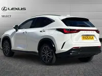 Used Lexus NX450h+ 309 HP (227 kW) 2025 White SUV