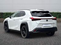 Used Lexus UX 250h 2021 White SUV