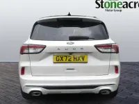 Used Ford Kuga ST-Line X 150 HP (110 kW) 2023 White SUV