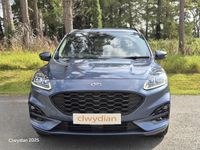 Used Ford Kuga ST-Line 150 HP (110 kW) 2022 Blue SUV