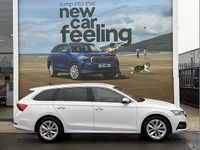 Used Skoda Octavia SE L 150 HP (110 kW) 2023 Moon white metallic Estate