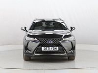 Used Lexus UX Sport Line 184 HP (135 kW) 2022 Black SUV