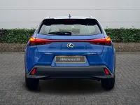 Used Lexus UX 300h 2026 Blue SUV