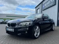 Usado BMW 218 M Sport 150 CV (110 kW) 2019 Negro Descapotable