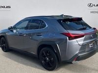 Used Lexus UX 250h 184 HP (135 kW) 2024 SUV