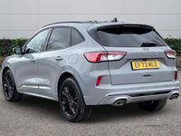 Used Ford Kuga 2023 Grey SUV