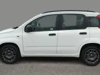 Usado Fiat Panda Easy 69 HP (50 kW) 2018 Branco Citadino
