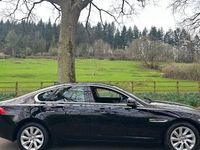 Used Jaguar XF Prestige 163 HP (119 kW) 2020 Sedan