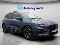 Used Ford Kuga ST-Line X 150 HP (110 kW) 2023 Blue SUV