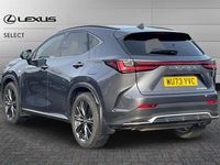 Used Lexus NX450h+ Sport Line 306 HP (225 kW) 2023 Grey SUV