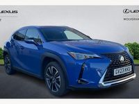 Used Lexus UX 250h 184 HP (135 kW) 2024 SUV