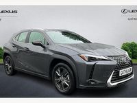 Used Lexus UX 300h 199 HP (146 kW) 2026 SUV