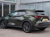 Used Lexus NX450h+ 301 HP (221 kW) 2024 Green SUV