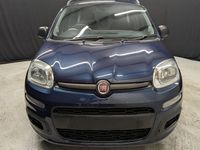 Used Fiat Panda Easy 69 HP (50 kW) 2020 Hatchback