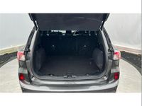 Used Ford Kuga ST-Line X 190 HP (139 kW) 2023 Grey SUV