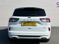 Used Ford Kuga ST-Line 190 HP (139 kW) 2024 White SUV