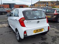 Used Kia Picanto 84 HP (61 kW) 2016 White Hatchback