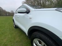 Used Kia Sportage 2017 White SUV