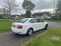 Used Skoda Octavia SE Technology 150 HP (110 kW) 2019 White Hatchback