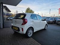 Used Kia Picanto 2023 White Hatchback