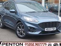 Used Ford Kuga ST-Line 150 HP (110 kW) 2022 Blue SUV