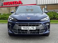 Used Cupra Terramar 2025 Blue SUV