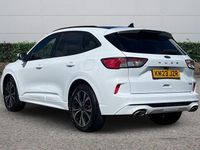 Used Ford Kuga ST-Line X 2023 White SUV