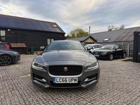 Used Jaguar XE R-Sport 2016 Grey Sedan
