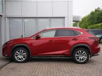 Used Lexus NX300h Luxury Line 194 HP (142 kW) 2019 Red SUV