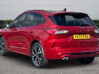 Used Ford Kuga ST-Line X 150 HP (110 kW) 2023 SUV