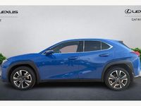 Used Lexus UX 250h 184 HP (135 kW) 2024 SUV