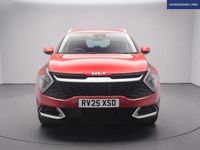 Used Kia Sportage 207 HP (152 kW) 2025 Red SUV
