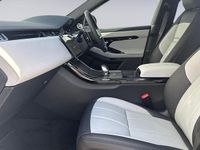 Used Land Rover Range Rover evoque SE Dynamic 2026 Silver SUV